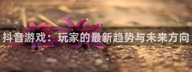 银河(galaxy)是什么品牌