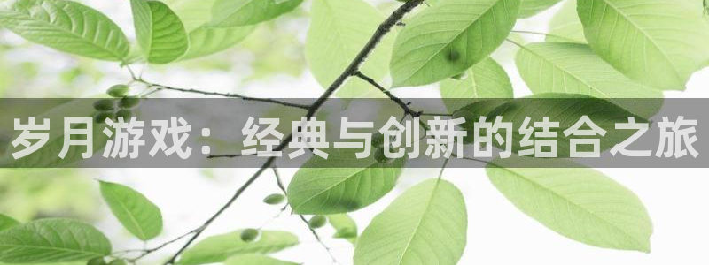 银河官网注册平台怎么样啊：岁月游戏：经典与创新的结合之旅