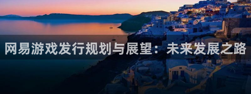 银河官网登录注册不了怎么回事：网易游戏发行规划与展望：未来发展之路