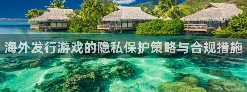 银河官网登录注册账号是什么意思：海外发行游戏的隐私保护策略与合规措施