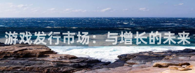 银河(galaxy)超纯啤酒怎么样：游戏发行市场：与增长的未来