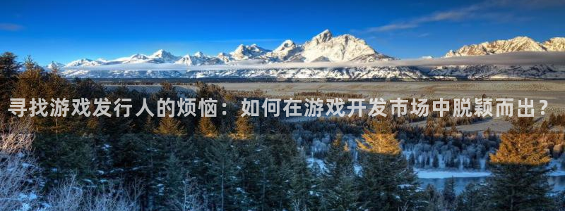 银河(galaxy)子代表什么意思：寻找游戏发行人的烦恼：如何在游戏开发市场中脱颖而出？