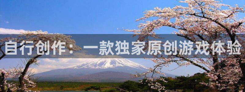 银河官网客服服务电话：自行创作：一款独家原创游戏体验