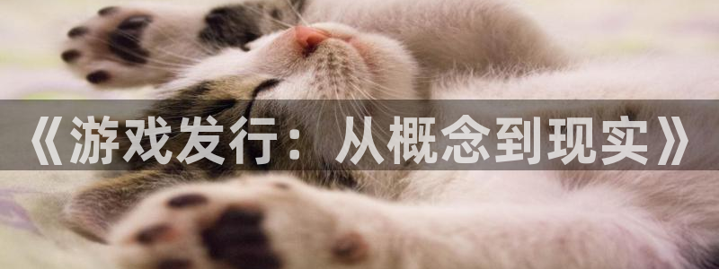 广州银河(galaxy)电子商务