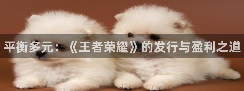 银河官网注册方法有哪些呢：平衡多元：《王者荣耀》的发行与盈利之道